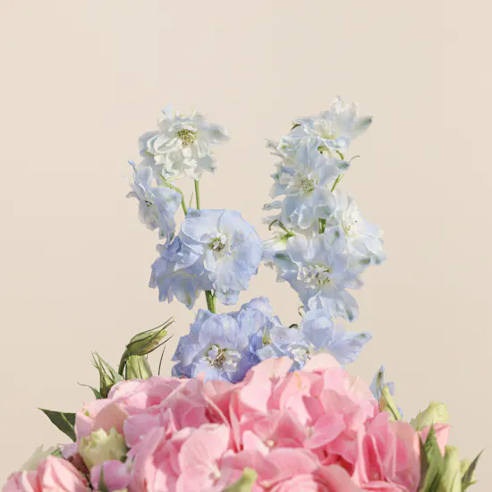Five Leaves Tea Timer | Floral Affection Flowers Vase