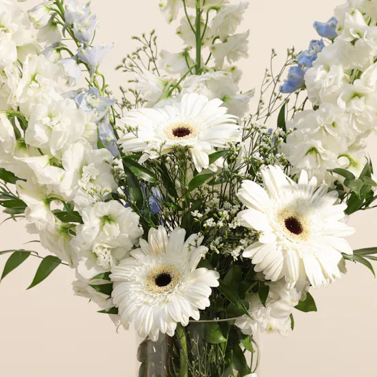 Montblanc Wallet for Men | Harmony Flowers Vase