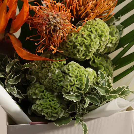 Rainforest Charm Flower Bouquet