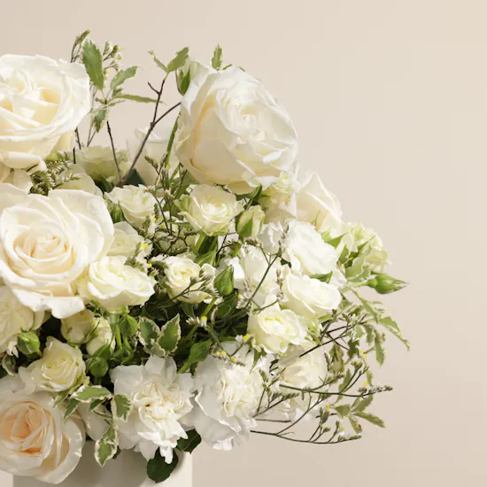 The Ivory Queen Flower Flower Box