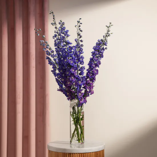 Dad's Bliss Delphinium Vase