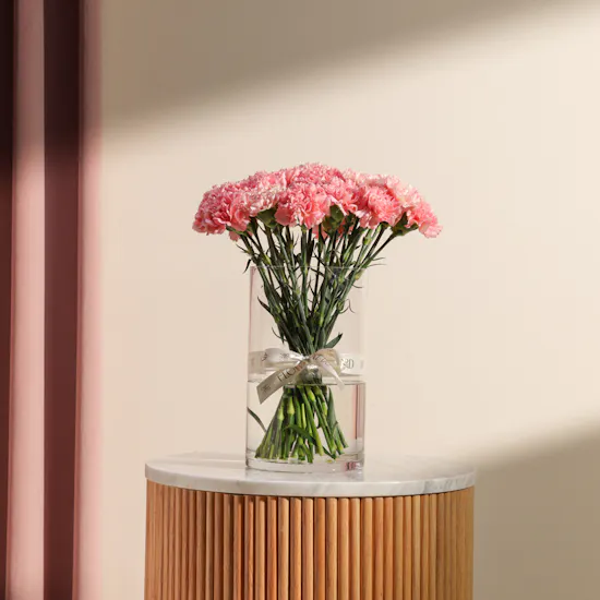 Elegant Pink Carnation Vase