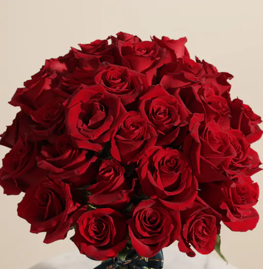 Heartfelt 25 Red Roses Bouquet ♡