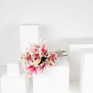 6 Pink Lilies