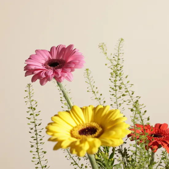 Color Carnival Flower Vase