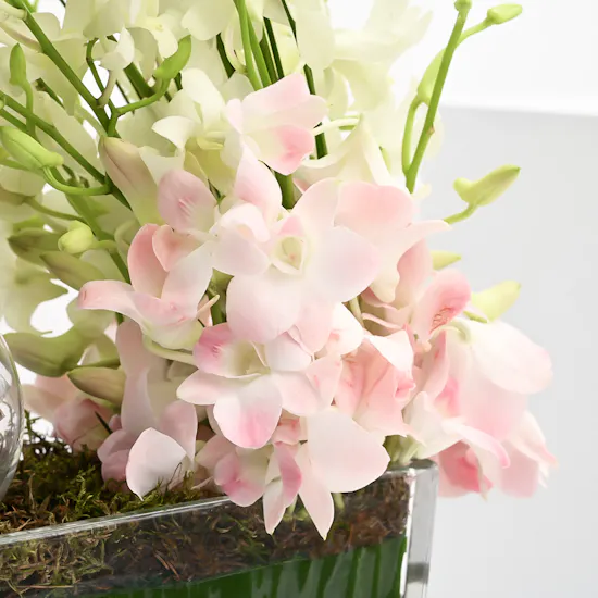 Chocolate | Delicate Wedding Blooms