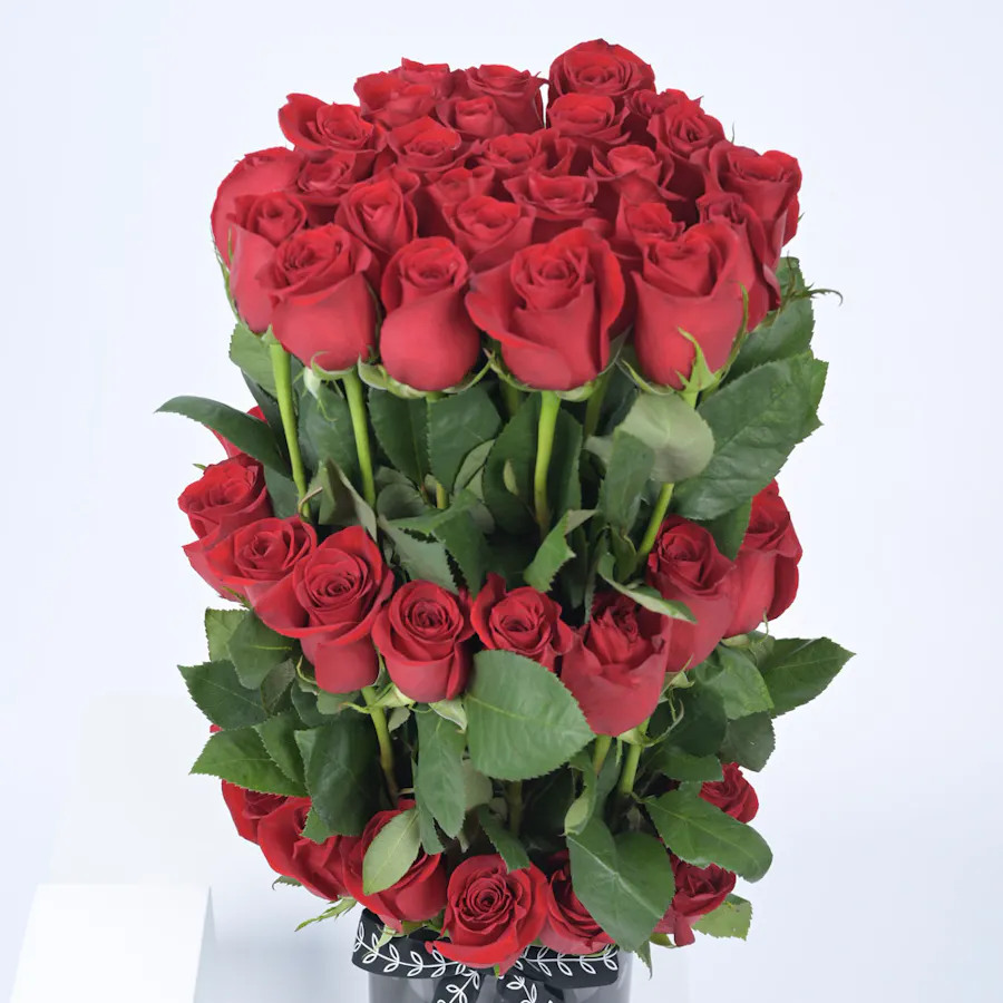 Love and More 2