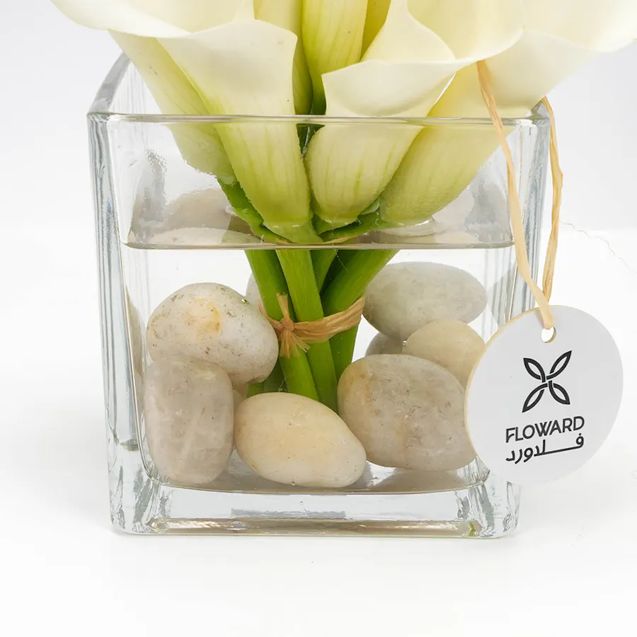 The Purity Vase 3