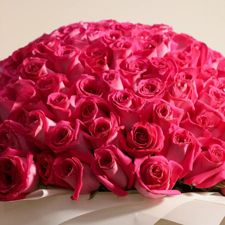 Fuchsia Roses Bouquet | 250 Flowers 3