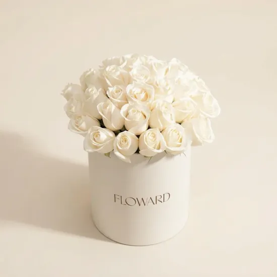Whisper-Soft White Roses Box | 25 Roses