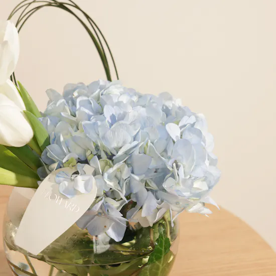 Smeg Drip Filter Pastel Blue Coffee Machine | Practical Beauty Flowers Vase