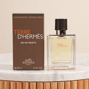 Hermès Terre D'Hermes EDT for Men | 50ml