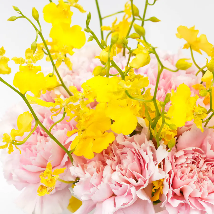 Beyond Set with Carnation Vase 4