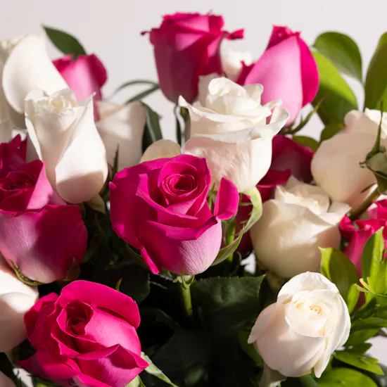 Vibrant Roses Vase