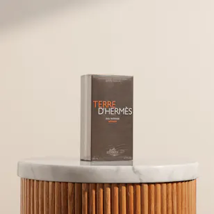Hermès Terre D'Hermès Eau Intense Vétiver | 200 ml Hermès Terre D'Hermès Eau Intense Vétiver | 200 ml