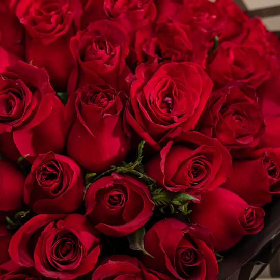 Delight 50 Red Roses