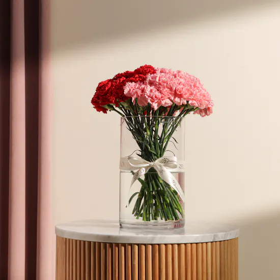 Radiance Carnations Vase
