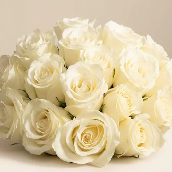 White Love Roses Vase