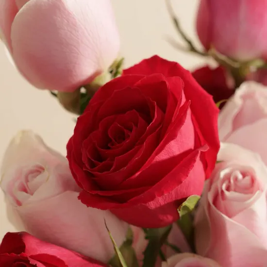 Whispers of Grace Flower Box