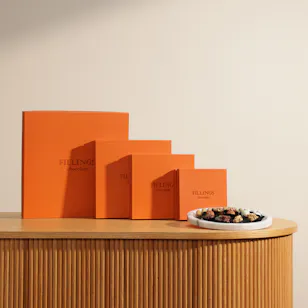 Fillings Chocolate Boxes Set | 4 Boxes