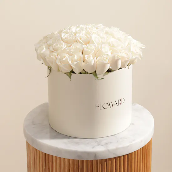 Ray of Hope White Roses Box | 55 Flowers