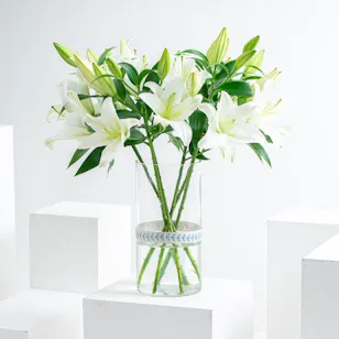 White Lilies | Cylinder Vase White Lilies | Cylinder Vase