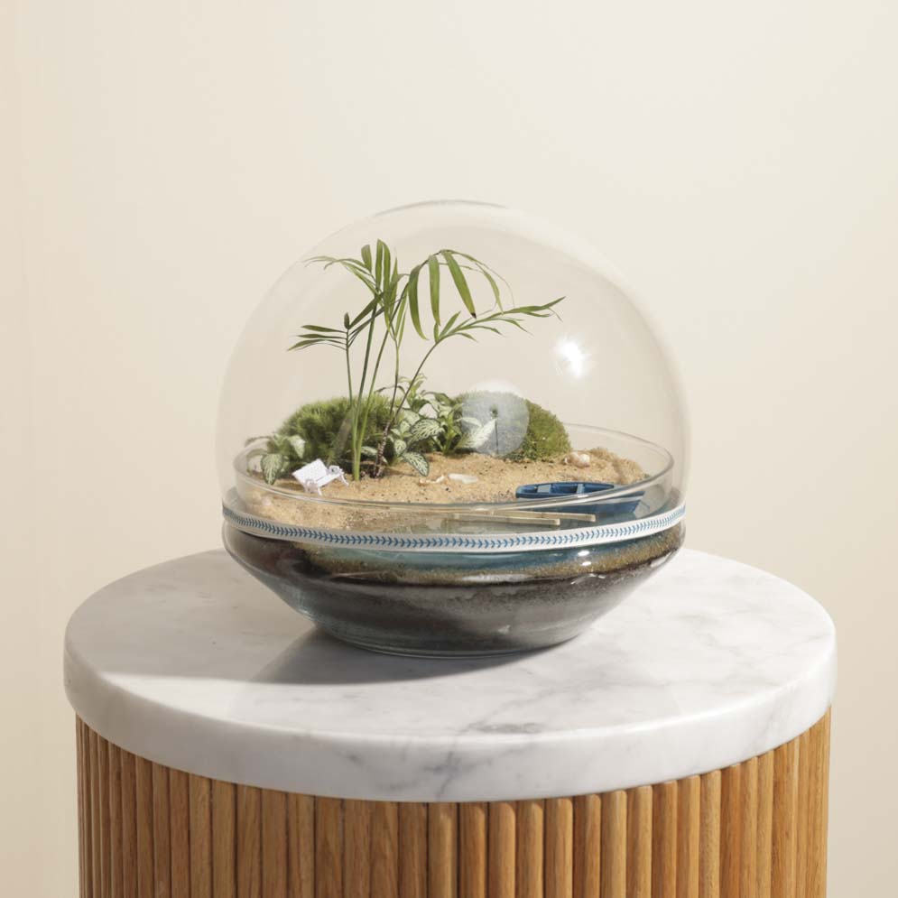 مزهرية حديقة التيراريوم المغلقة