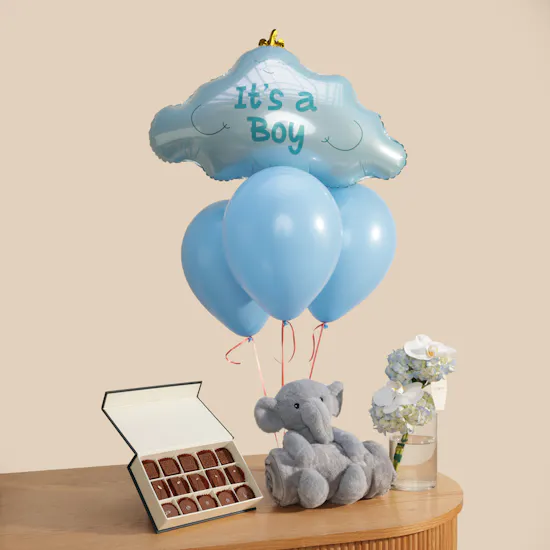Little Prince Welcome Gift Set