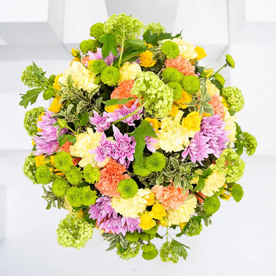 Petals Parade | Congratulations