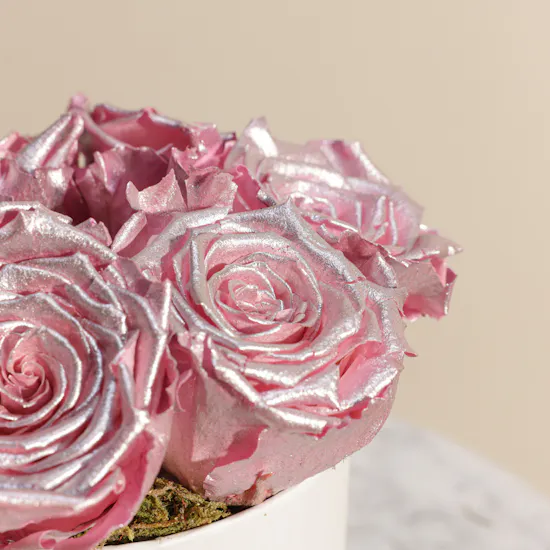 Preserved Pink Roses Box