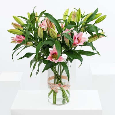 Lilies pink