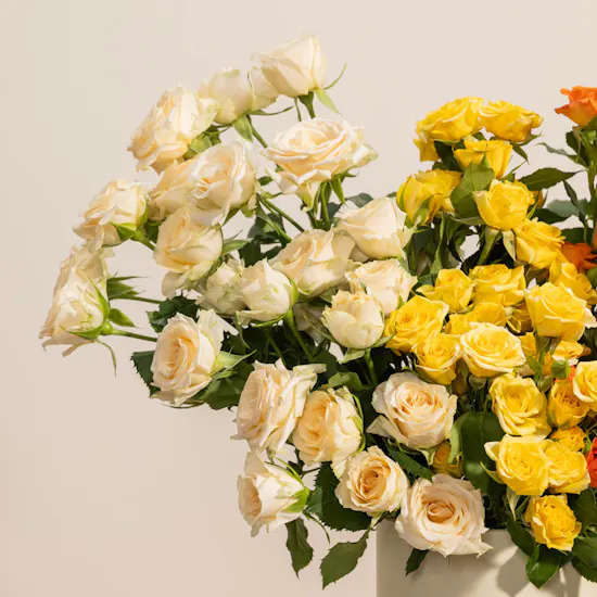 Dream Gleam Roses Box