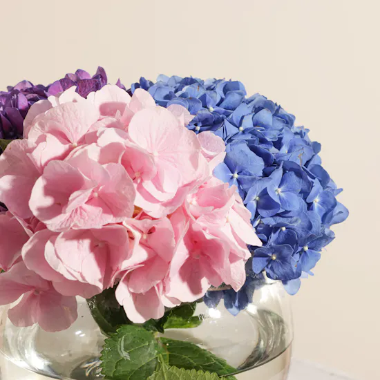 Delight Flowers Vase