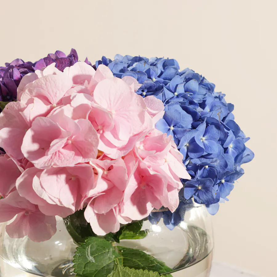 Delight Flowers Vase 4