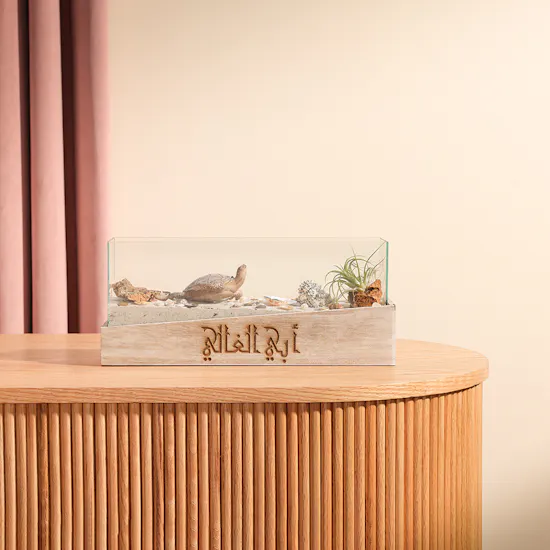 Beach Terrarium