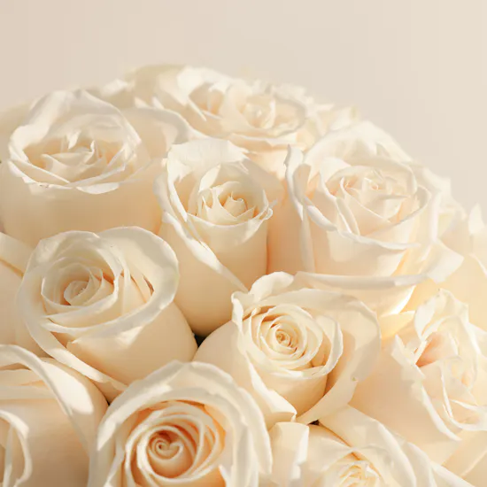 Abdul Samad Al Qurashi Malaki Perfumed Agarwood Bakhoor | Serene White Roses Vase
