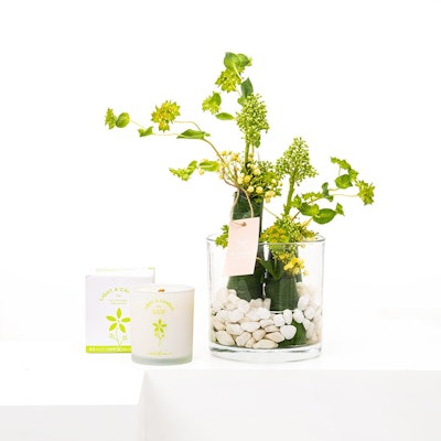 Floward Single Whispering Neroli Candle | Green Leaves Vase 