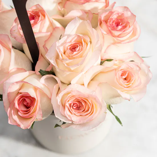 Calvin Klein Pink Embossed Monogram Women’s Shoulder Bag | Congrats for Graduation Flowers