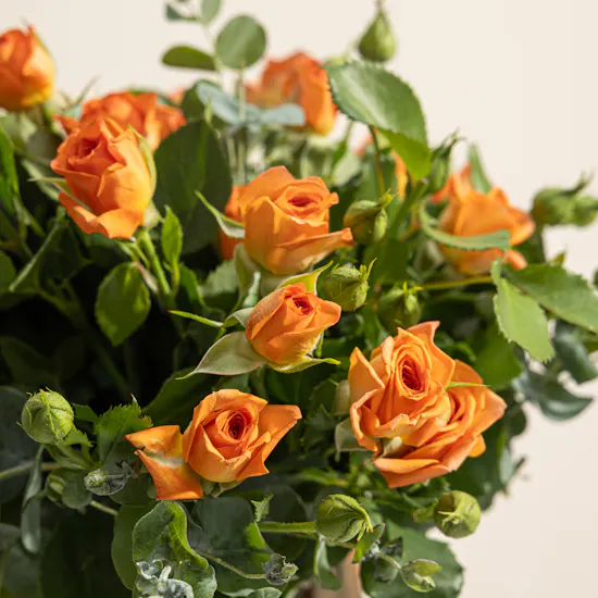 Botanical Glow Flower Vase