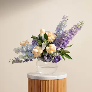 Lovely Delphinium Vase Lovely Delphinium Vase