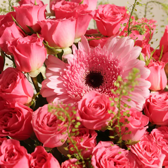 Anoosh Petite Chocolate Box | Beautiful Flower Vase