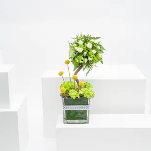 Enchanting Beauty | Glass Vase