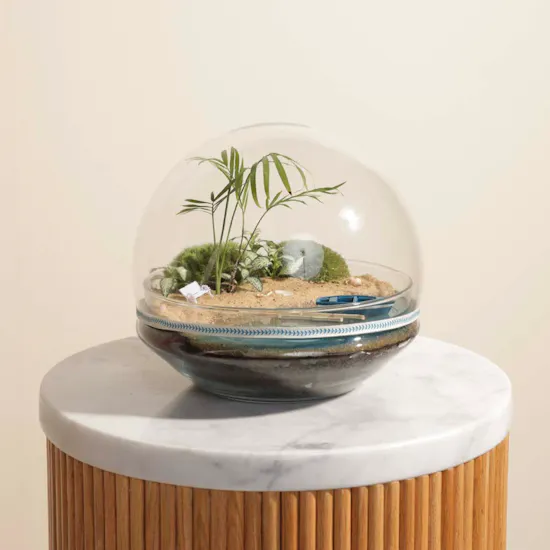 Nano Garden Closed Terrarium
