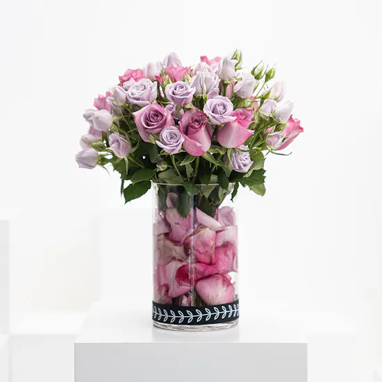 15 Purple Roses | Cylinder Vase Enta Omry