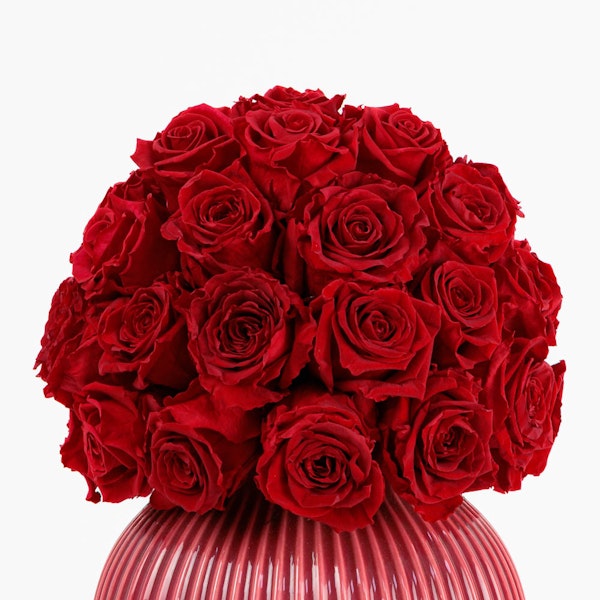 Preserved Rose Small | Knabstrup Vase