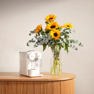 Nespresso Lattissima One | Sun Flower Vase