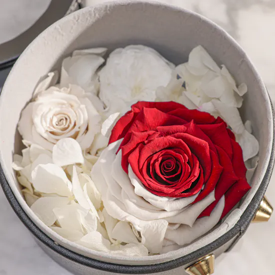 Qatar Flag Preserved Rose