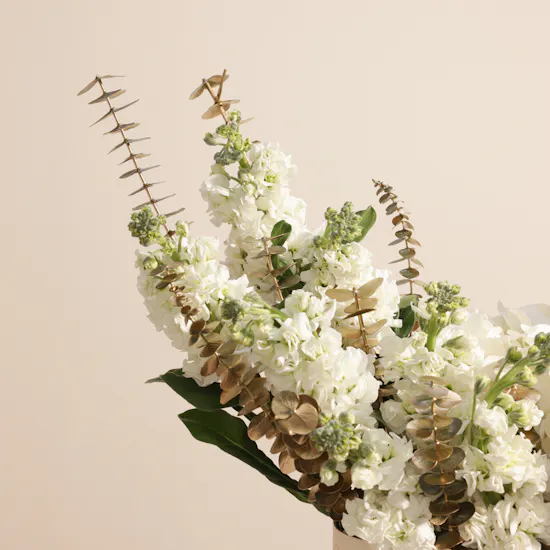 Whispered Elegance Flower Box