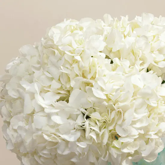Coastal Serenity Hydrangea Vase