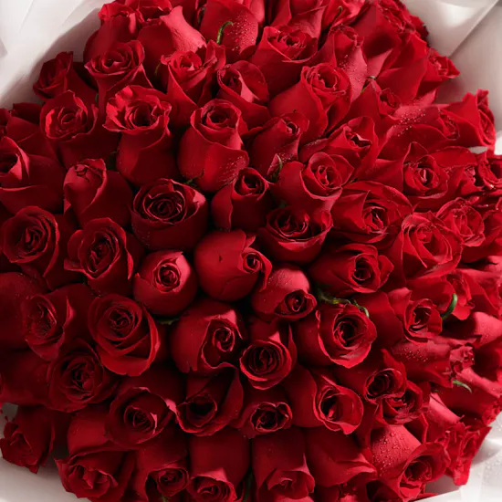 100 Roses Birthday Bouquet